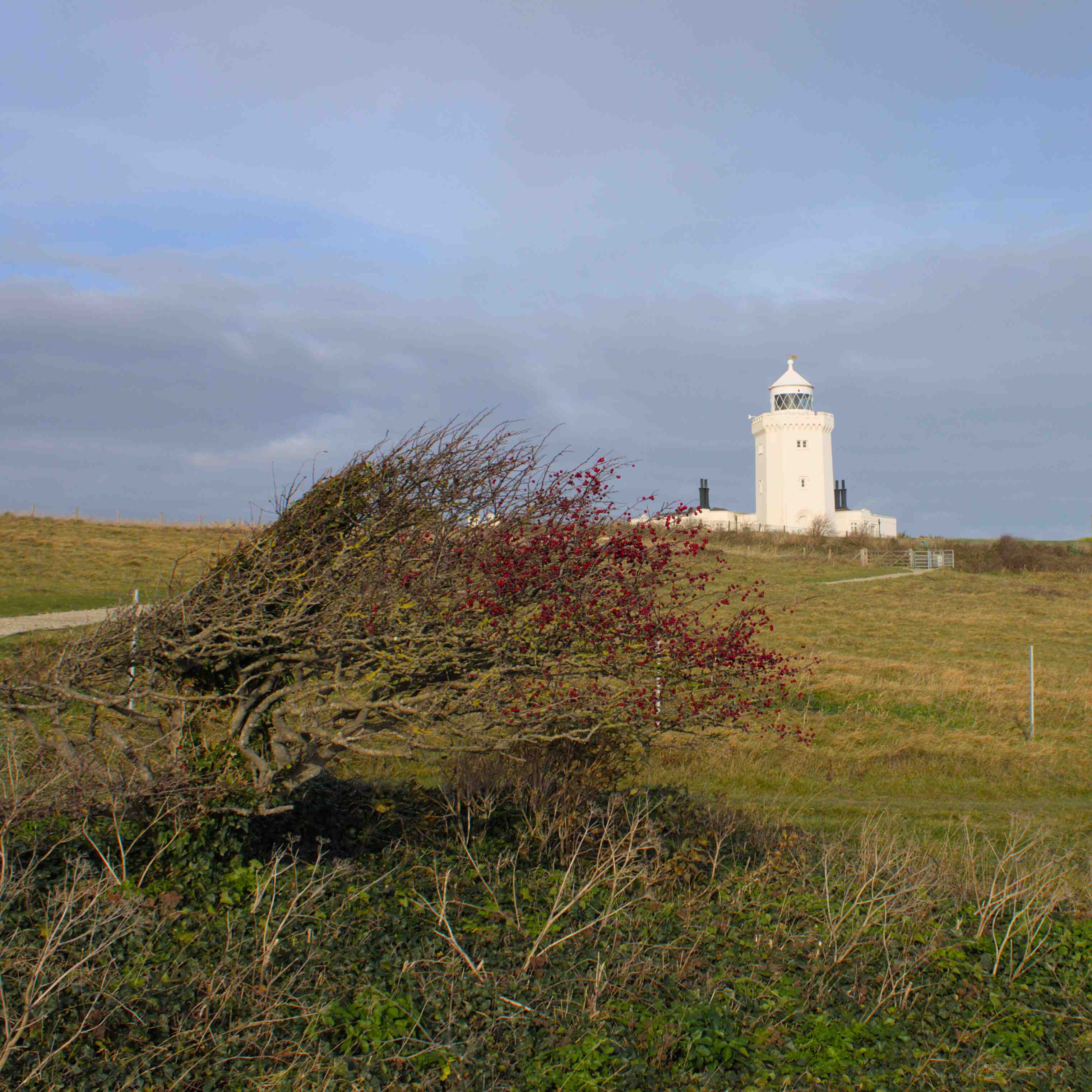 Lighthouse on Dover Cliffs