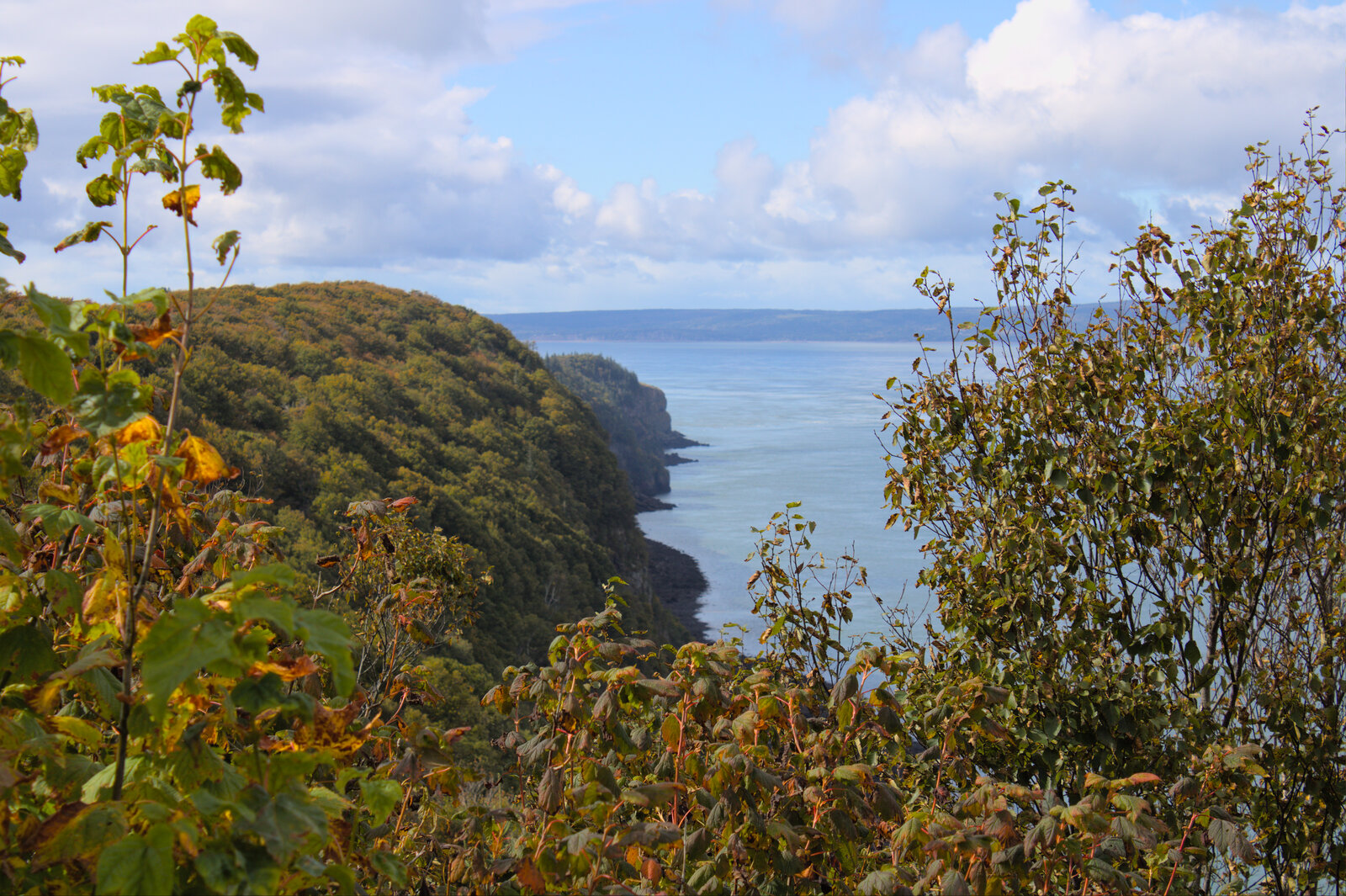 Nova Scotia 09-28-24